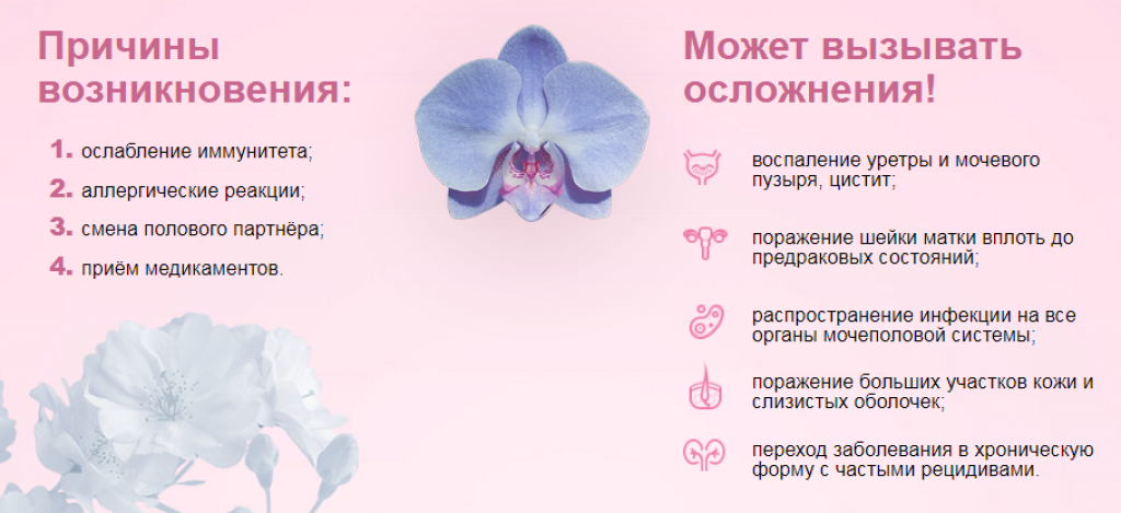 Молочница у женщин: симптомы, какие надо сдать анализы на молочницу