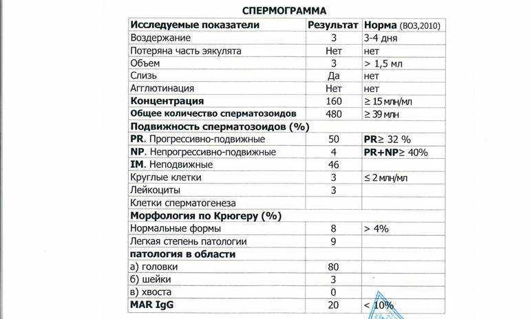 Как расшифровать результаты спермограммы по крюгеру (воз 2010)