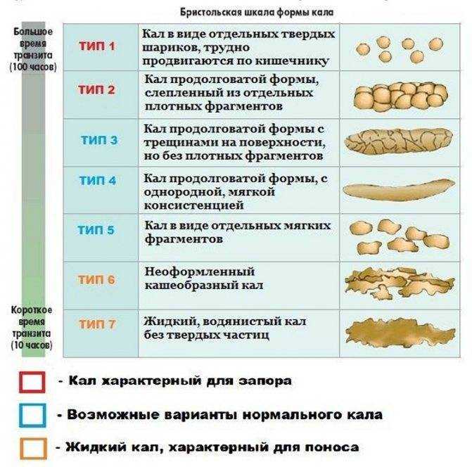 Желтуха: виды, причины, симптомы, лечение – напоправку – напоправку