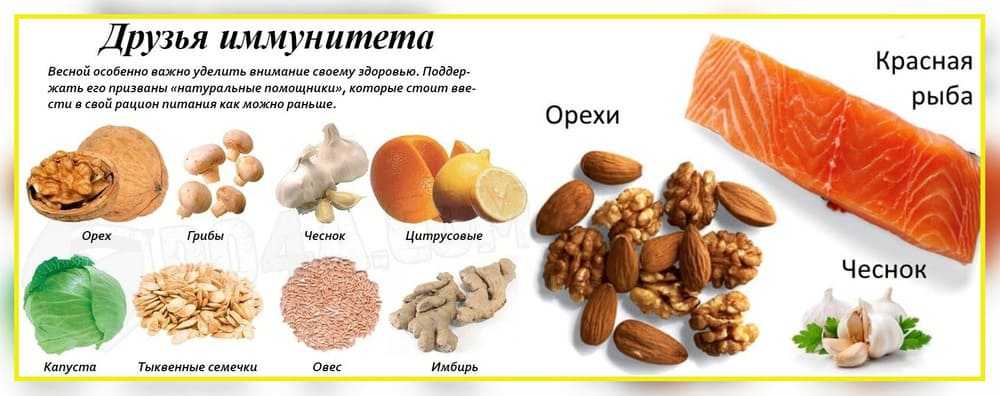 Иммуностимулирующие препараты для детей: список и классы