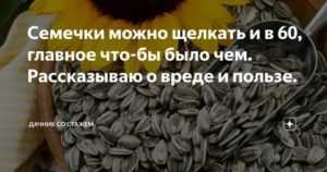 Полезные свойства семечек для беременных