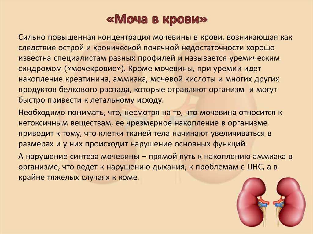 Кровь в моче, или гематурия. причины и лечение гематурии.