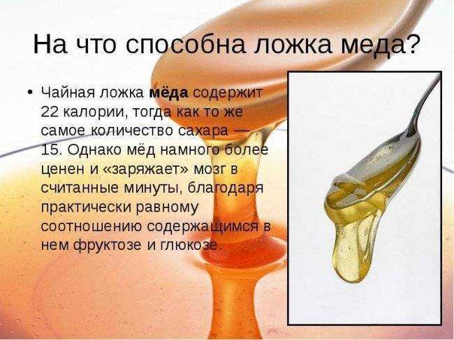 Меда калорийность в ложке чайной без горки: состав мёда и полезные компоненты, можно ли его есть ребенку и для похудения