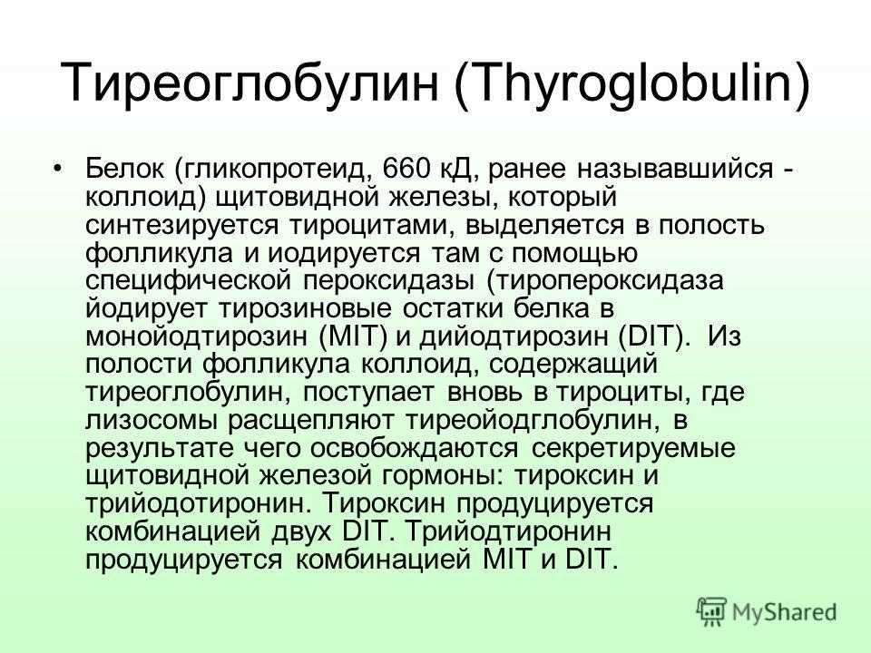 Тиреоглобулин повышен