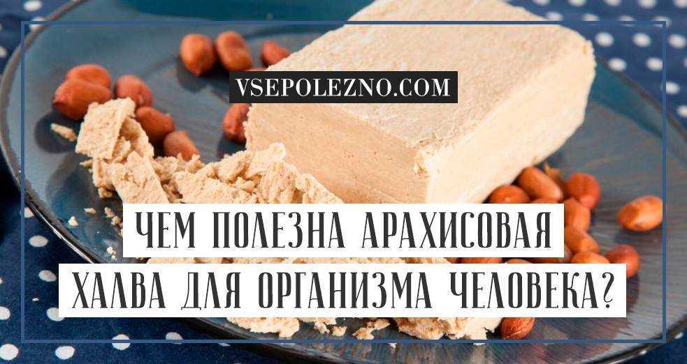 Правильное питание во время беременности - советы по правильному питанию - agulife.ru