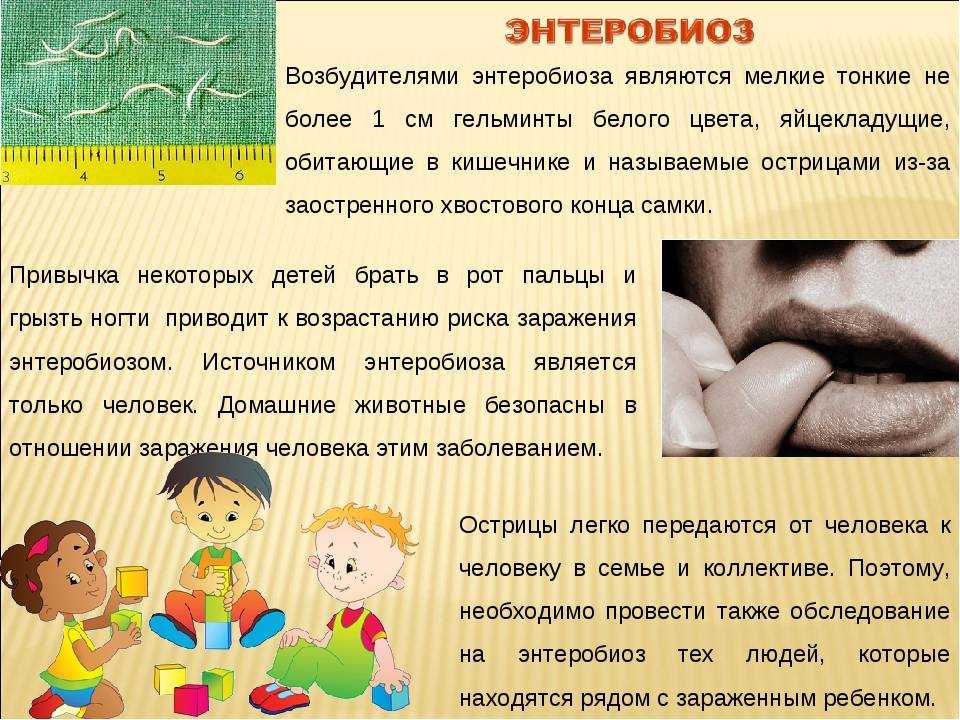 Анализ кала (соскоб) на энтеробиоз