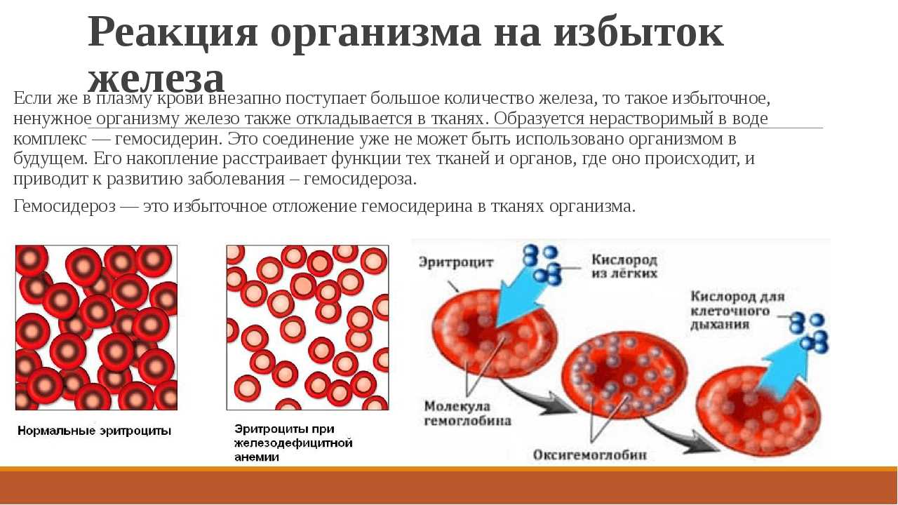У вас менструация? проверьтесь у гинеколога на анемию — сдайте кровь на гемоглобин