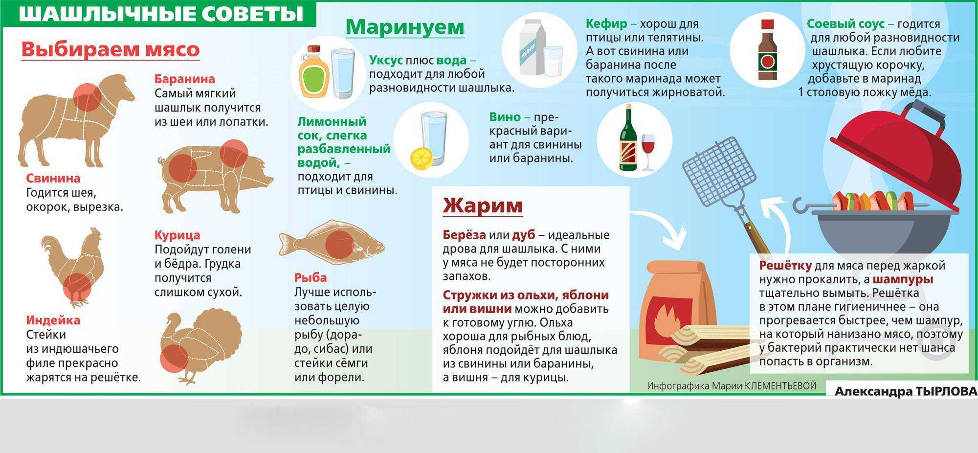 Сколько брать шашлыка на природу из расчета на человека? - полезная информация для всех