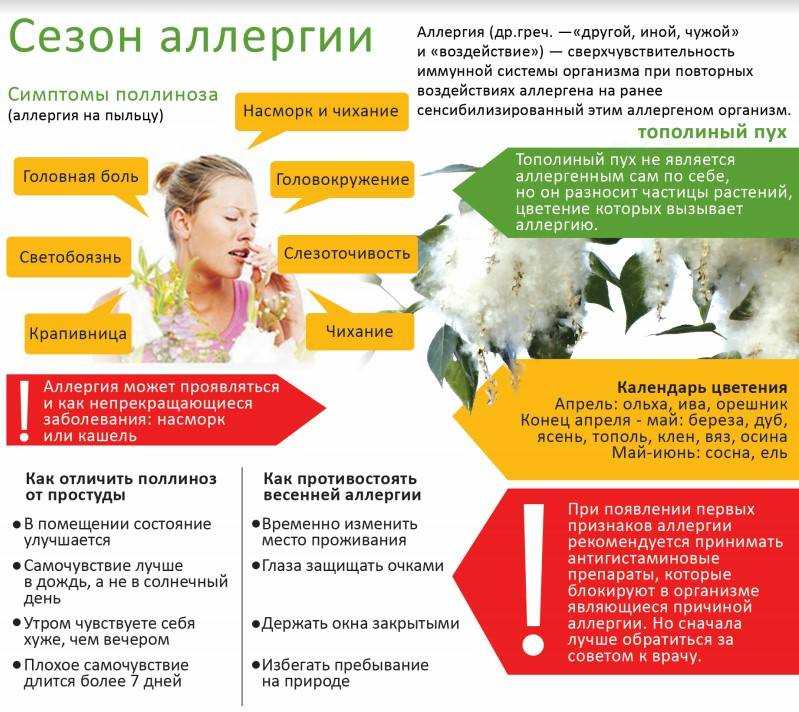 Аллергия: ликбез для аллергика. диагностика, симптомы, лечение