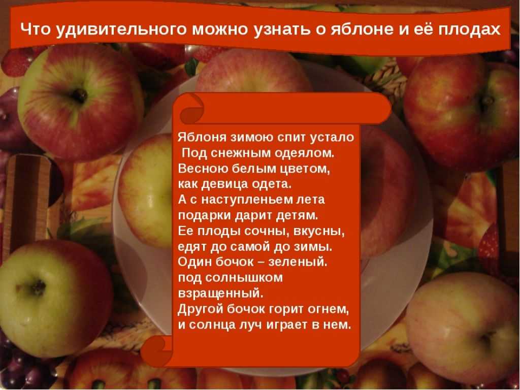 Яблоко в день и доктор не нужен: правда или вымысел?