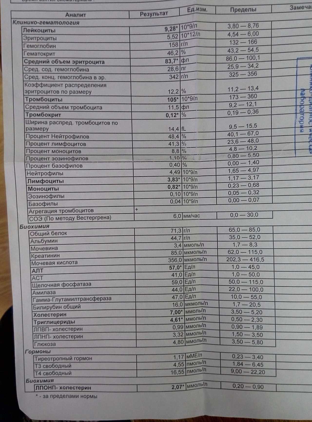 9 причин повышения уровня гамма-глутамилтрансферазы в крови