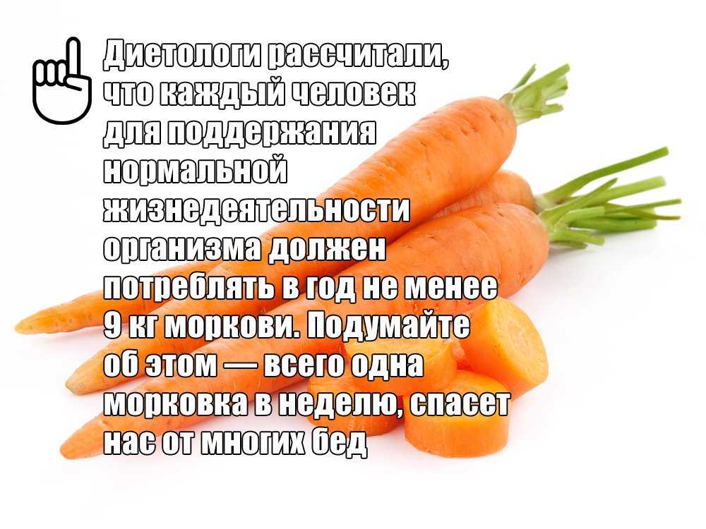 Сколько калорий в моркови и какие диетические блюда можно приготовить?