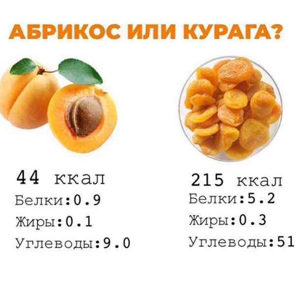 Чернослив: калорийность на 100 грамм, в 1 шт., польза, вред, витамины, минералы – хорошие привычки