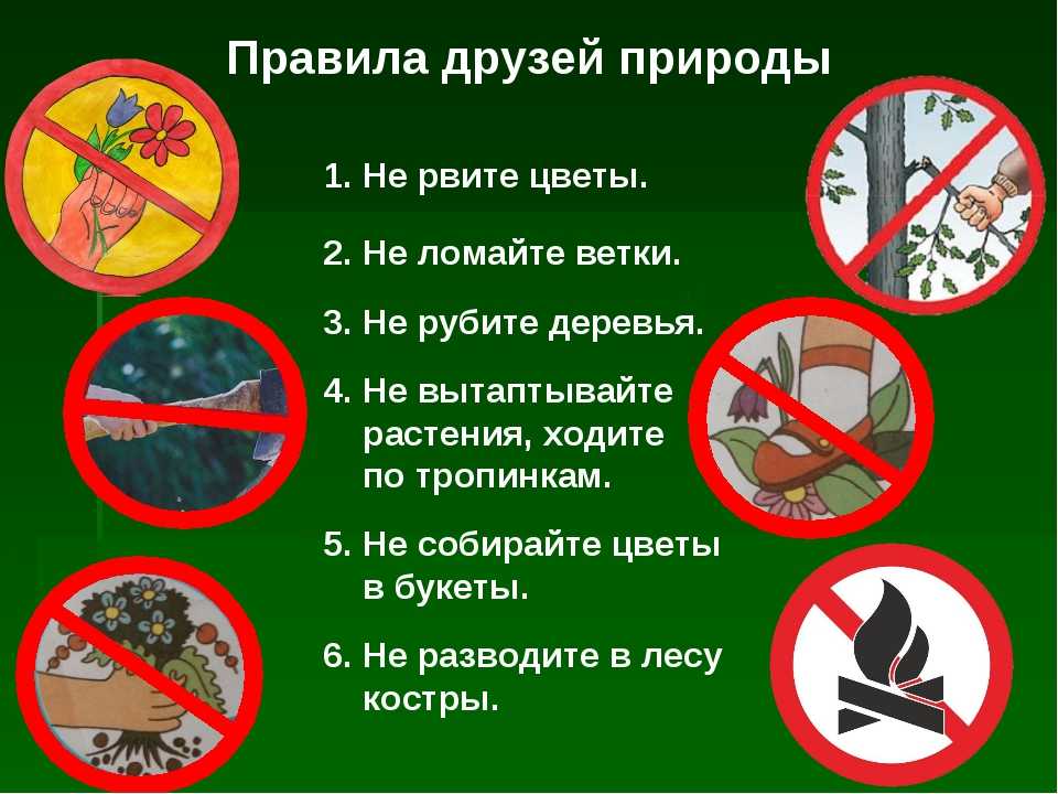 Как помочь домашним питомцам подготовиться к зиме?
