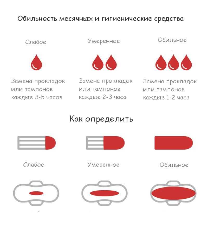 Менструация (менструальный цикл) | университетская клиника