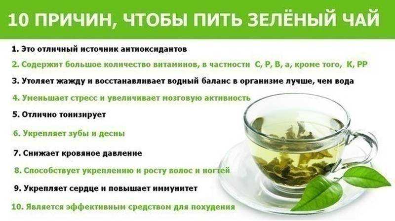 Зеленый чай повышает или понижает давление, польза и вред