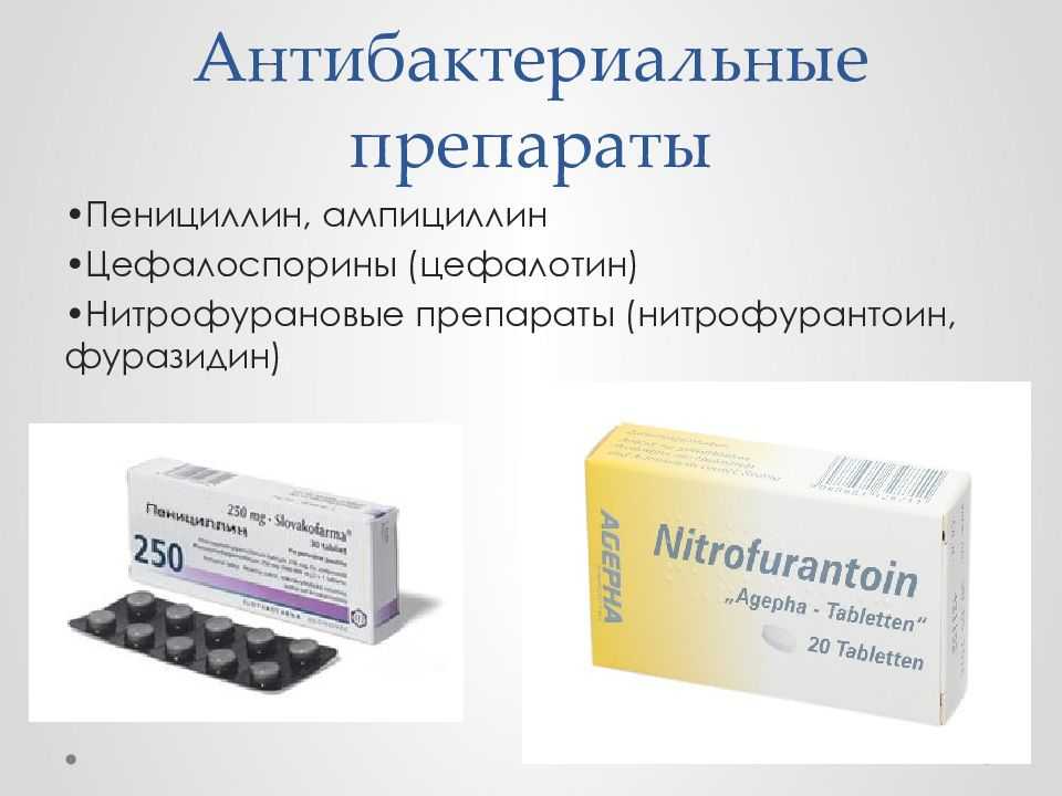 Бактерии — что это? полезные и вредные бактерии