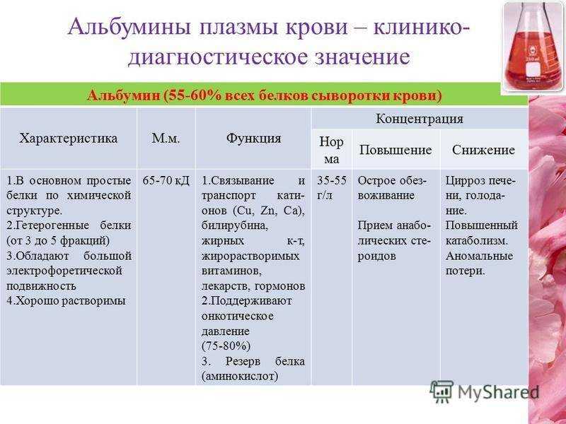 Анализ альбумин в крови что такое, для чего