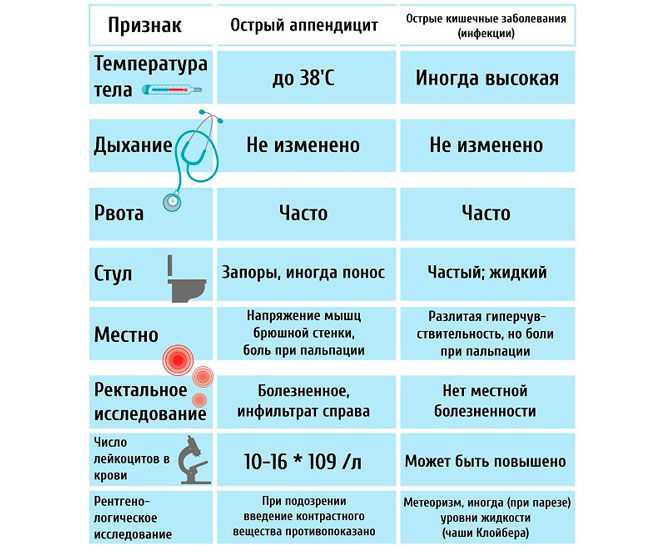 Кишечник человека: строение, роль и функции