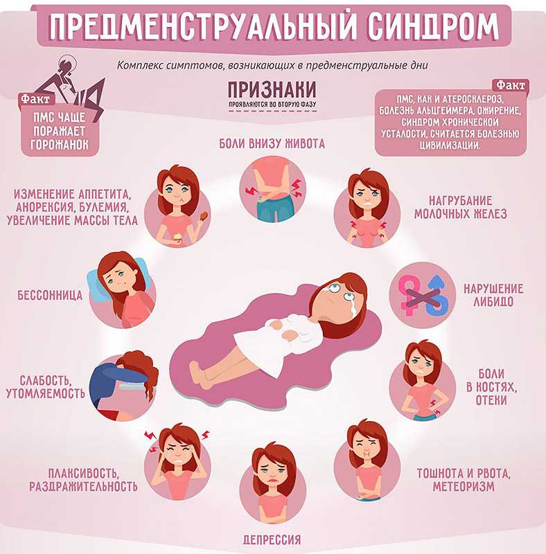 Менструальный цикл и беременность: полезная информация и рекомендации | аборт в спб