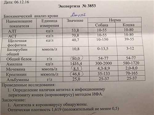 Алт ед. Показатели биохимии крови АСТ И алт. Анализ крови алт и АСТ норма. Норма печеночных показателей АСТ алт. Биохимический анализ крови алт норма.