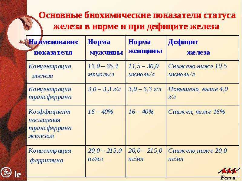 Роль железа в организме: дефицит, избыток, источники
