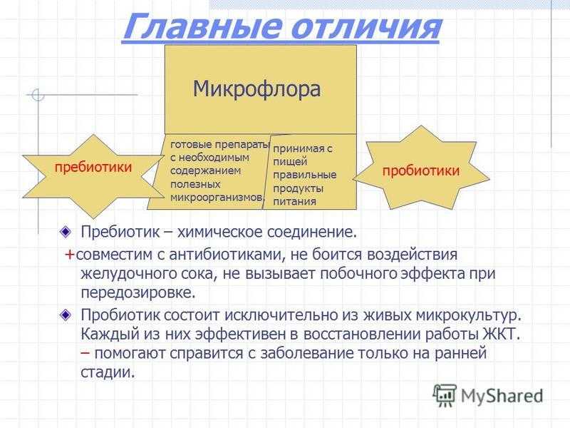 Пробиотики для кишечника: список препаратов с доказанной клинической эффективностью