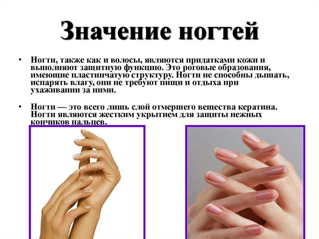 💋 10 фактов о ногтях, которые полезно знать девушкам 💋 | маникюрофф | дзен