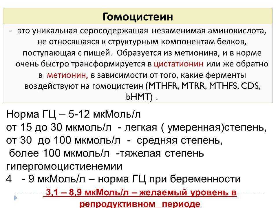 Гомоцистеин. норма и высокий гомоцистеин, что делать и как снизить