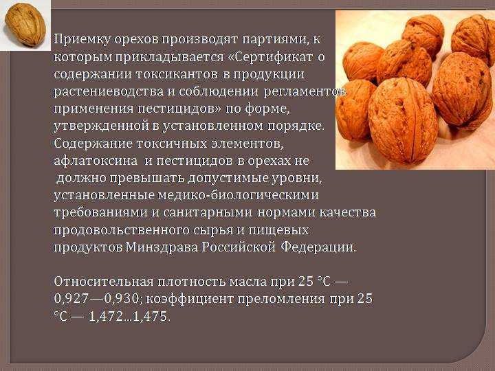 Употребляем орехи при беременности правильно
