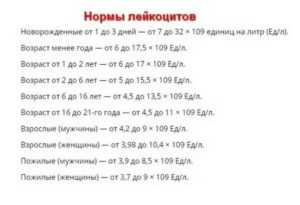 Лейкоцитоз в крови у детей и взхрослых: причины