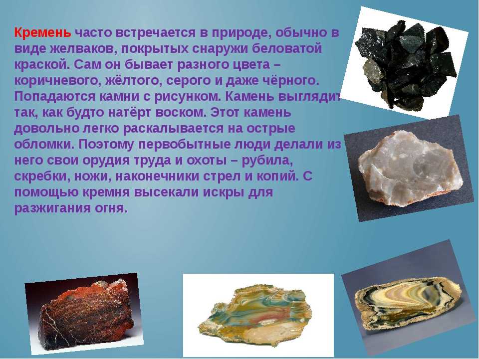 Селен: для чего нужен организму, в каких продуктах содержится