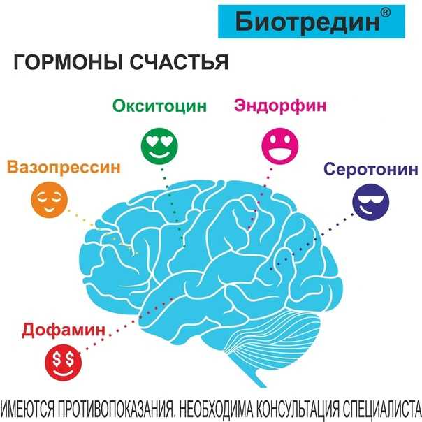Гормоны счастья. краткое содержание книги л. бройнинг