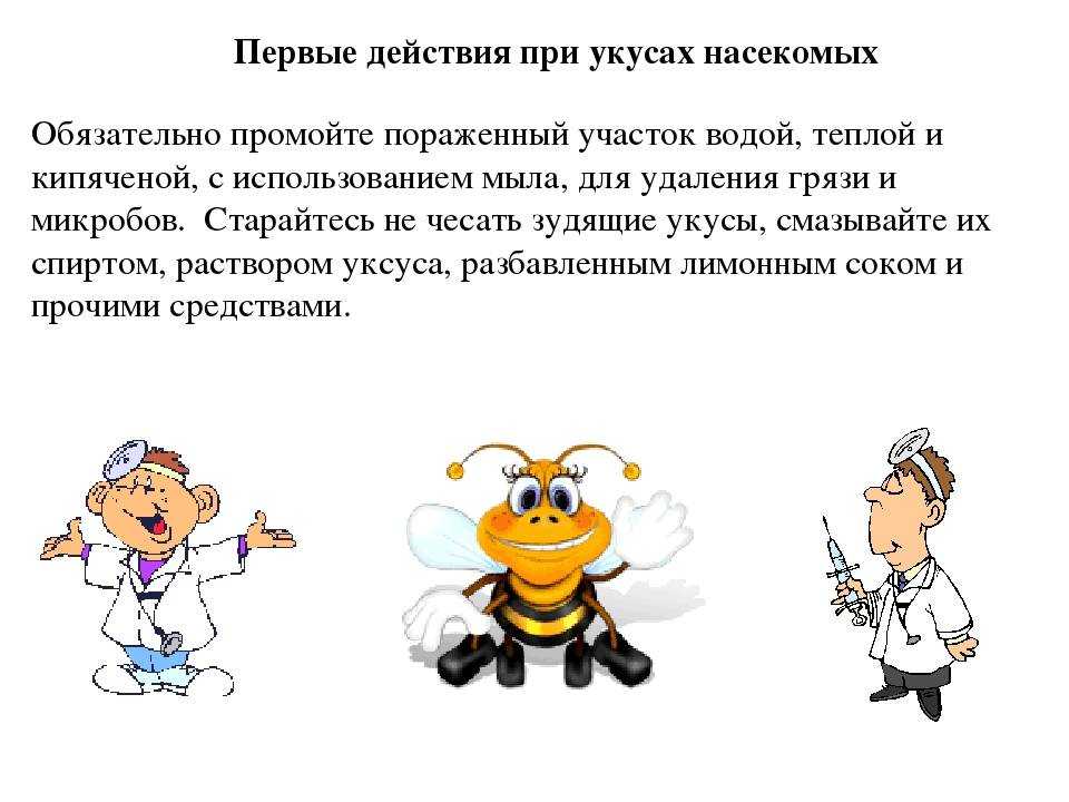 Аллергическая реакция на укусы постельных клопов