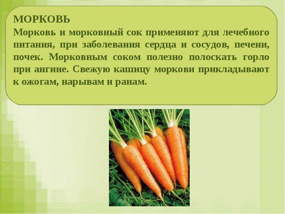 Калории в моркови