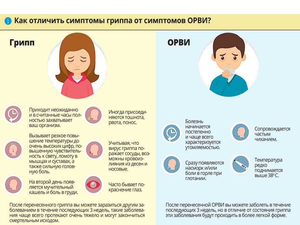 Сезонность респираторных вирусных инфекций