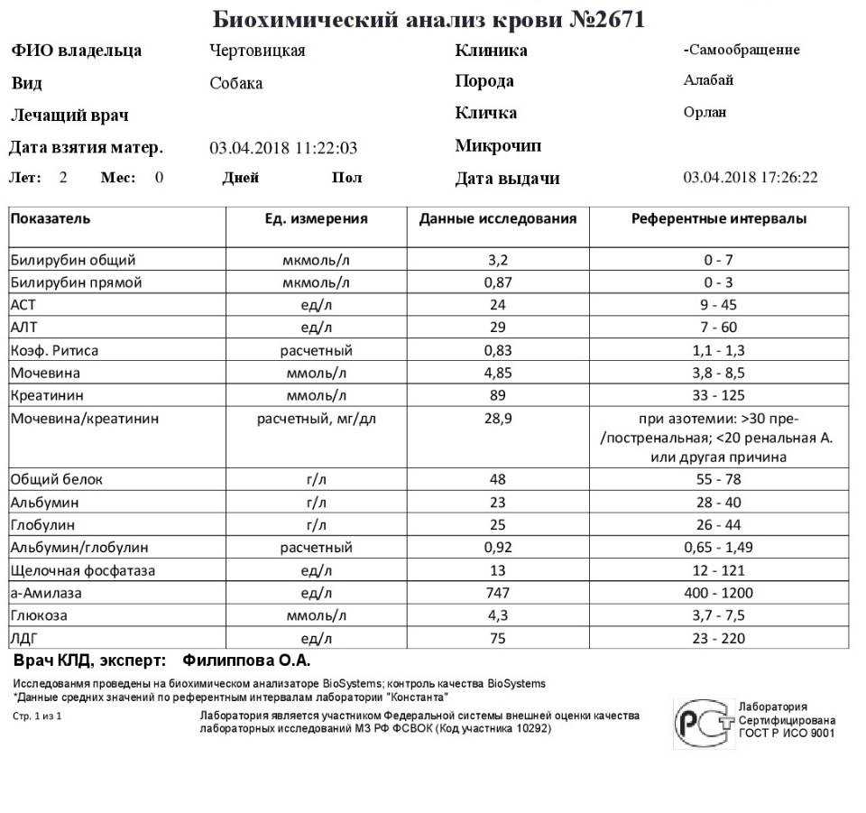 Лабораторные исследования в гастроэнтерологии — часть 2