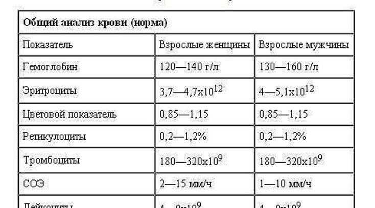 Средний объем тромбоцитов (mpv): что это, норма в анализе крови, повышение и понижение