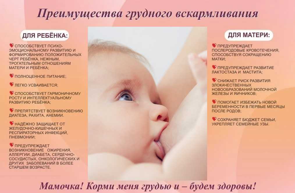 Мифы о беременности и родах - agulife.ru