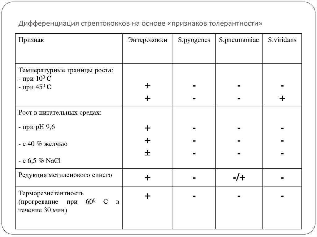 Стрептококк в горле: симптомы и лечение у взрослых пациентов