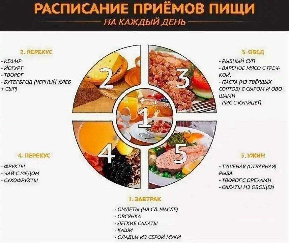 10 мифов и фактов о метаболизме: откуда берется лишний вес и как его убрать? | университетская клиника
