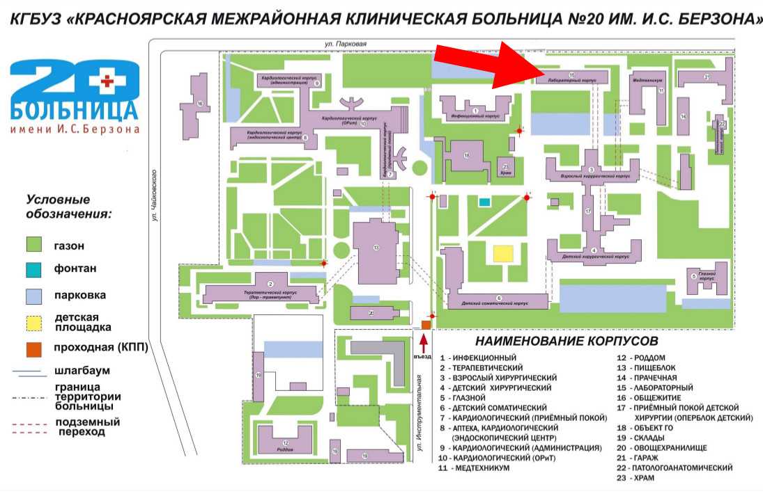 Суставы: виды, классификация, строение и функции | столетник