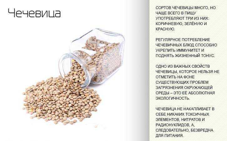 Чечевица: полезные свойства и вред