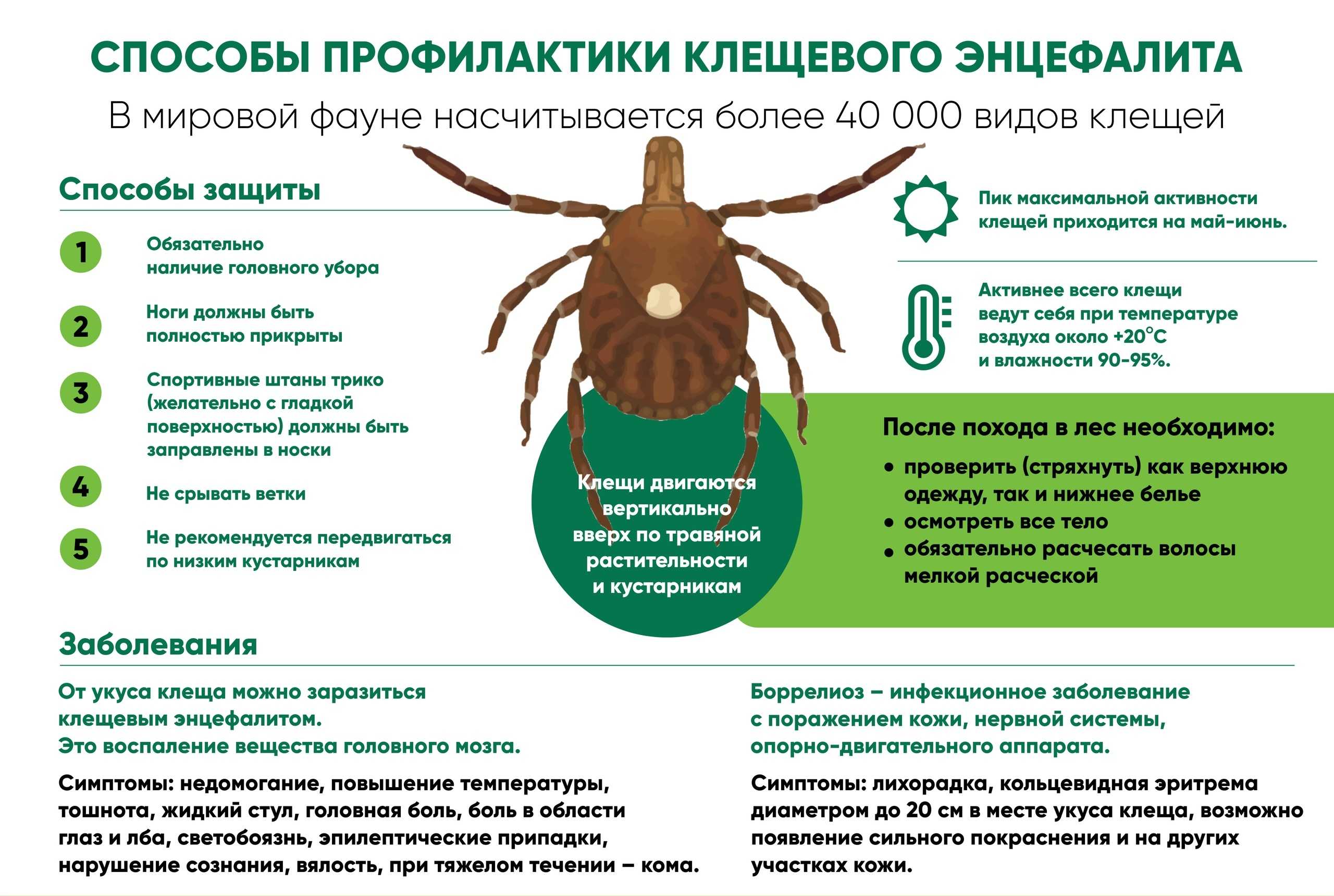 Болезни после укуса клещей