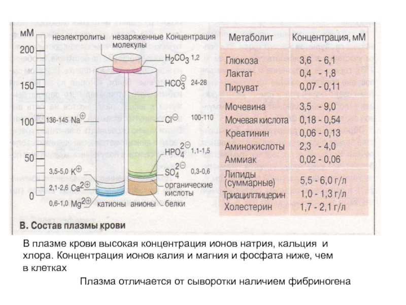 Калий в крови: норма, свойства, симптомы дефицита