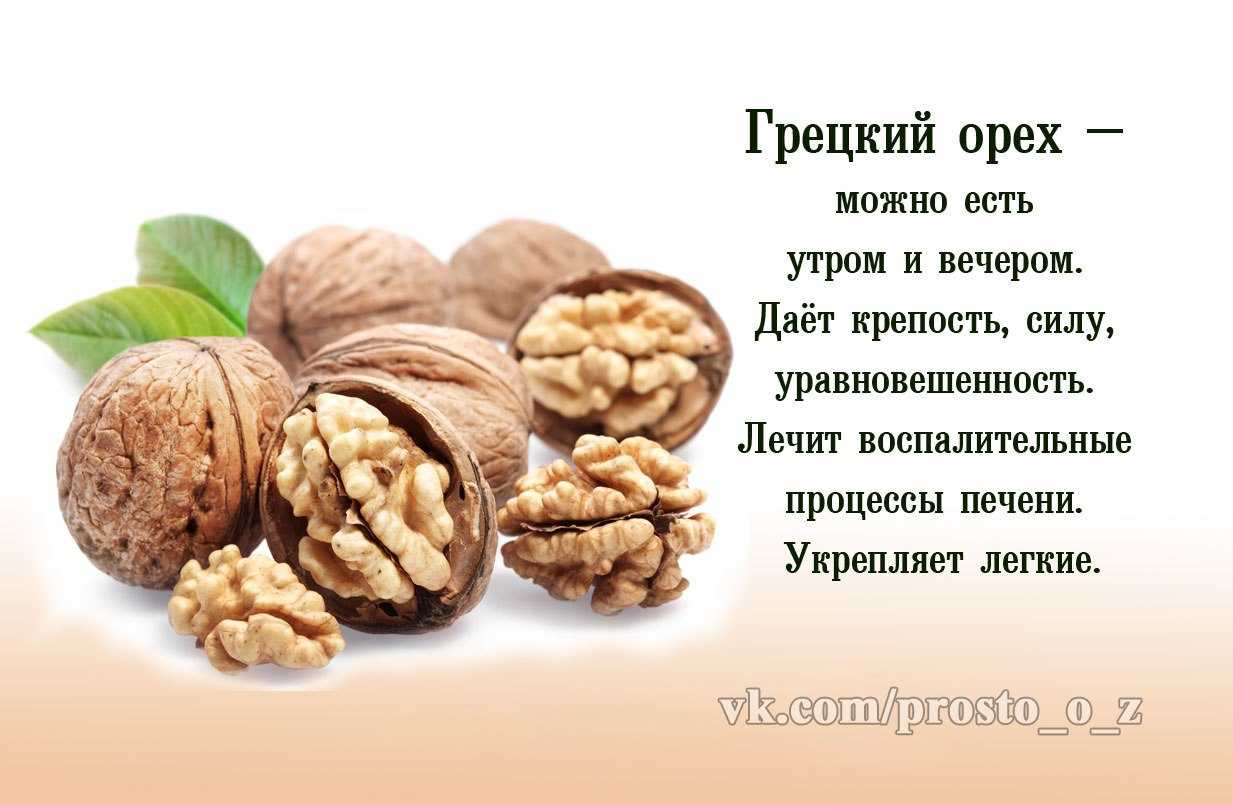 Калорийность грецкого ореха, состав: витамины, бжу, вес одного ядра