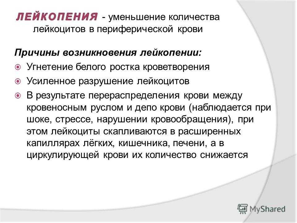 Лимфоциты в крови: норма, повышенные и пониженные значения