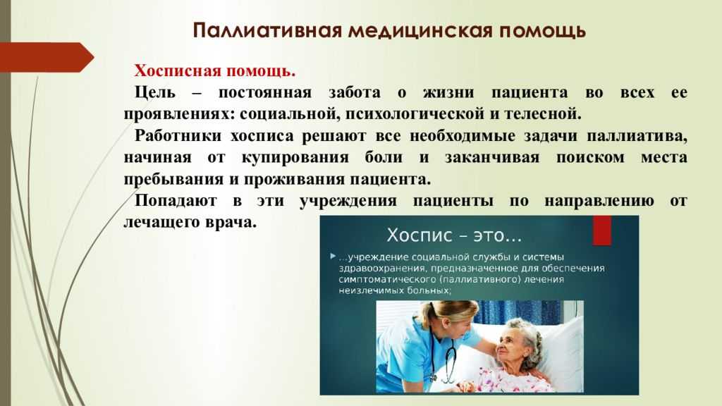 Новое о паллиативной помощи в россии: что изменилось