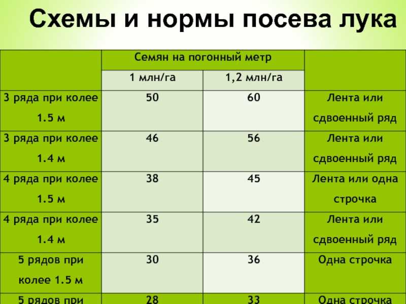Сколько весит мешок картошки: сетчатый, капроновый, джутовый? :: syl.ru