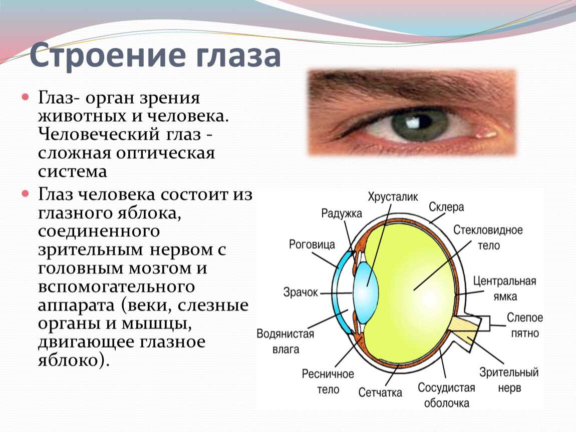 Можно ли испортить зрение очками